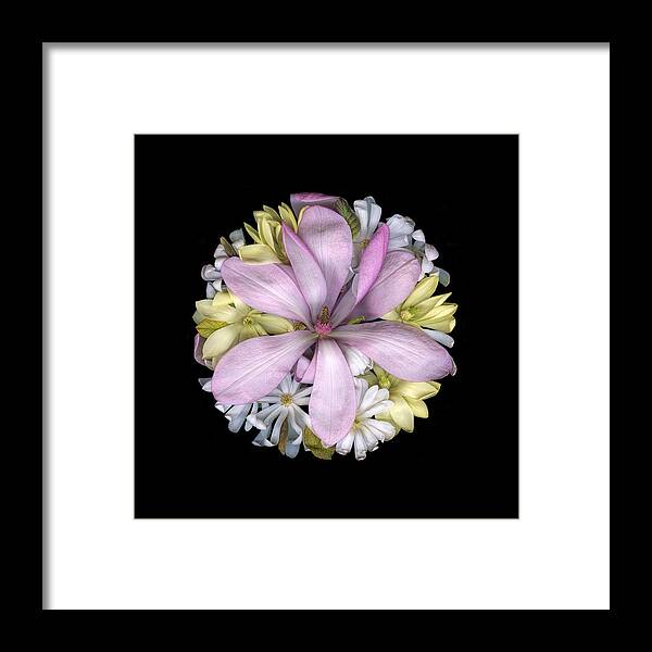Flowers Framed Print featuring the photograph Magnolias 01 by Sandra R Schulze Photography