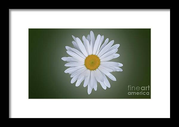 Flower Framed Print featuring the photograph Majestic Beauty by Carol Eliassen