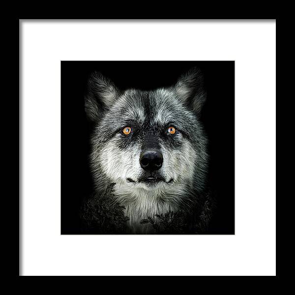 Wolf Framed Print featuring the digital art Majestic by Maggy Pease