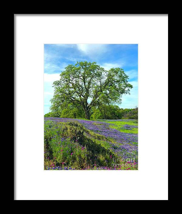 Trees Framed Print featuring the photograph Majestic Oak by Lisa Billingsley