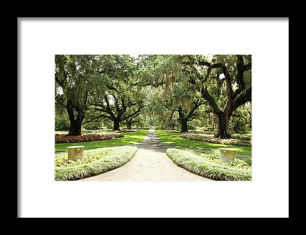 Park Framed Print featuring the photograph Majestic Oaks by Lens Art Photography By Larry Trager