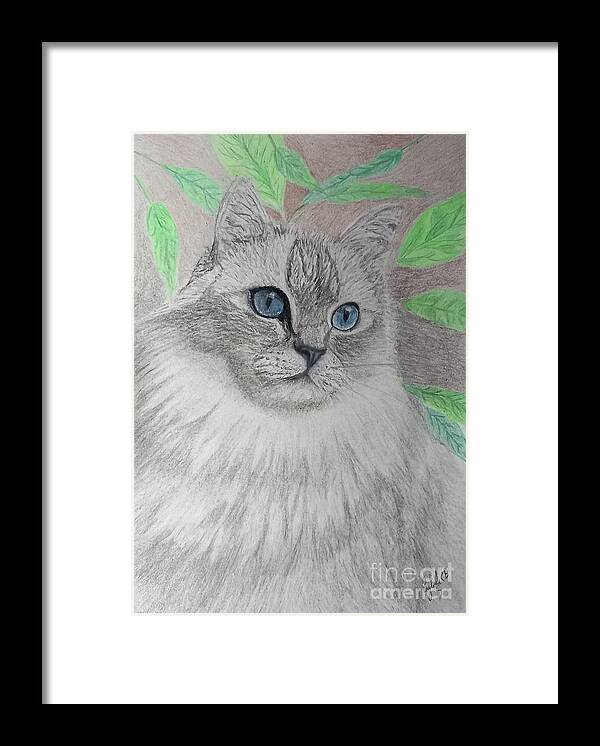 Birman Framed Print featuring the mixed media Malia by Cybele Chaves