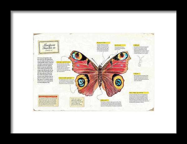 Infancia Framed Print featuring the digital art Mariposa Inachis io by Album
