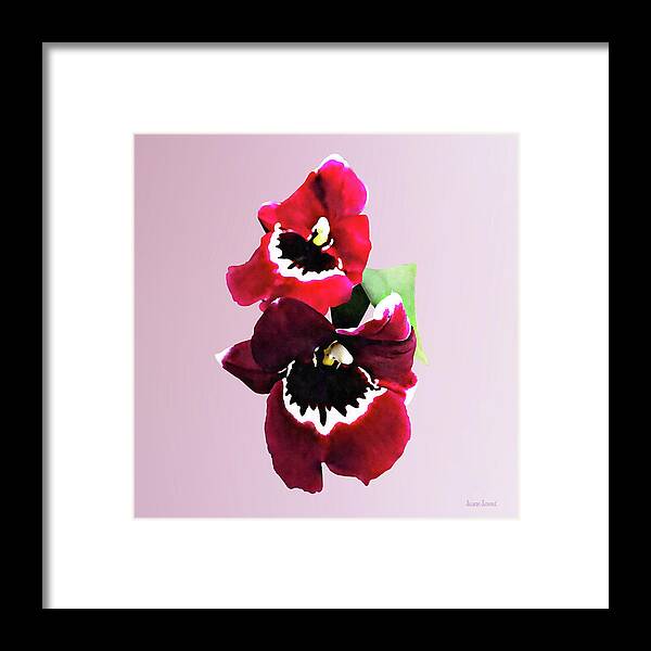 Orchid Framed Print featuring the photograph Maroon Miltonia Orchid by Susan Savad