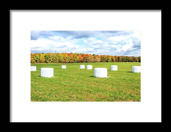 Haybales Framed Print featuring the photograph Marshmallows by GLENN Mohs