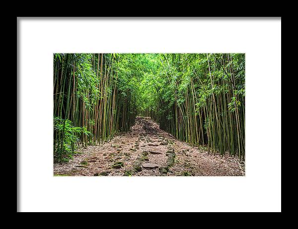 Bamboo Framed Print featuring the photograph Maui's Bamboo forest by Pierre Leclerc Photography