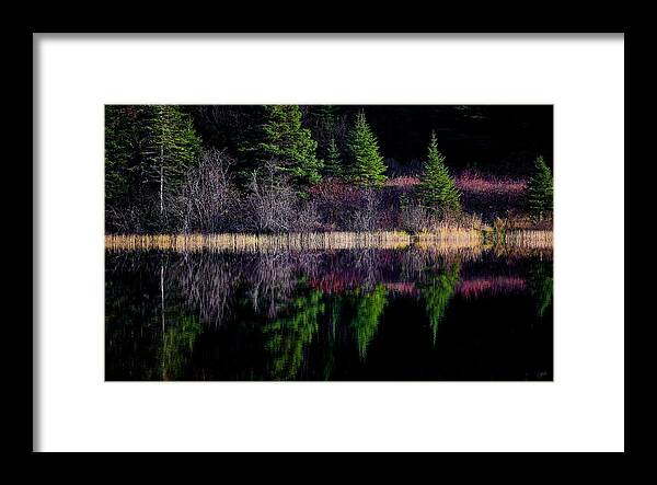 Canada Framed Print featuring the photograph Mauve Echo by Doug Gibbons