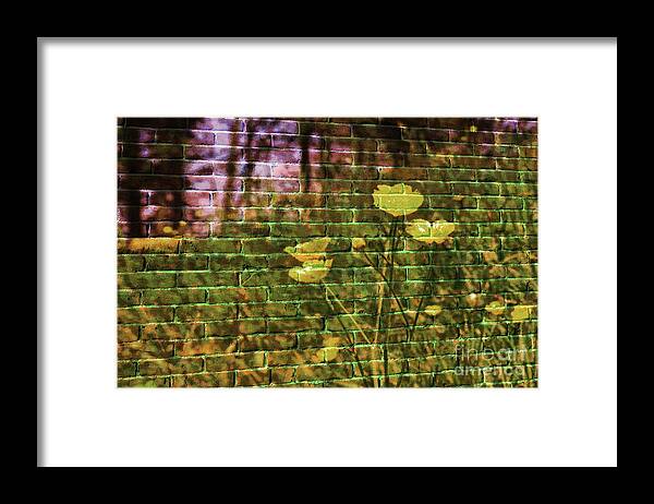 Affinity Photo Framed Print featuring the photograph Meadow flowers on brick wall by Pics By Tony