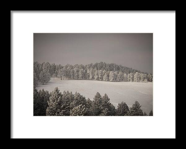 Snow Framed Print featuring the photograph Mountain Meadow in Winter by Kevin Schwalbe
