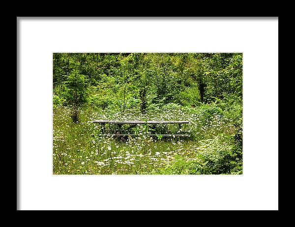 Daisys Framed Print featuring the photograph Meadow Picnic by Cheryl Day