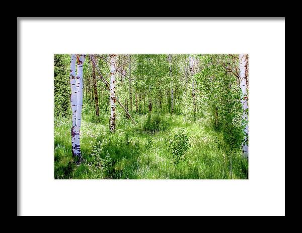 Outdoor Landscape Framed Print featuring the photograph Meadows by Terry Walsh
