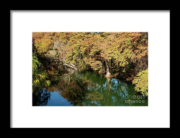Castroville Framed Print featuring the photograph Medina River Reflections by Bob Phillips