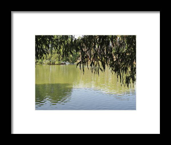 Water Framed Print featuring the photograph Meditation - The Lake At Fairmount Park by Raymond Fernandez