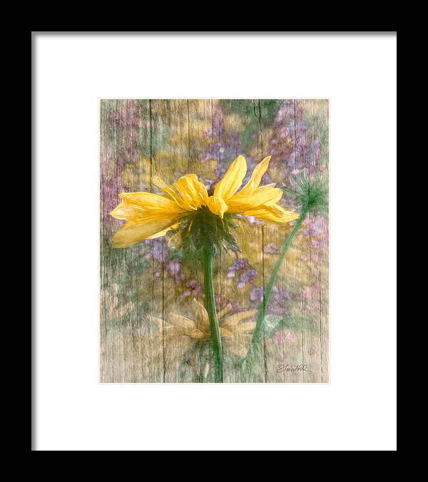  Framed Print featuring the photograph Mellow Yellow Dream by Shara Abel