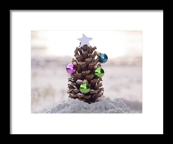 Christmas Framed Print featuring the photograph Merry Little Christmas by Laura Fasulo