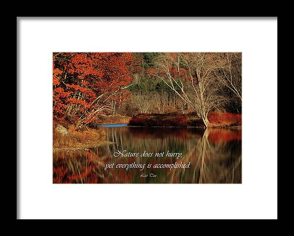 Nature Framed Print featuring the photograph Message of the Ammonoosuc by Nancy Griswold