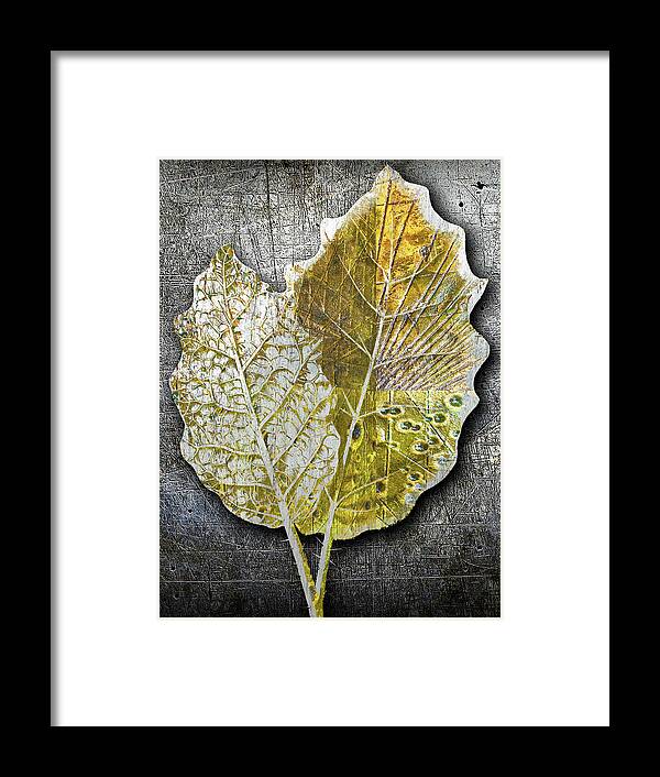1800s Framed Print featuring the painting Metal Metallic Gold Silver Leaves 1 by Tony Rubino