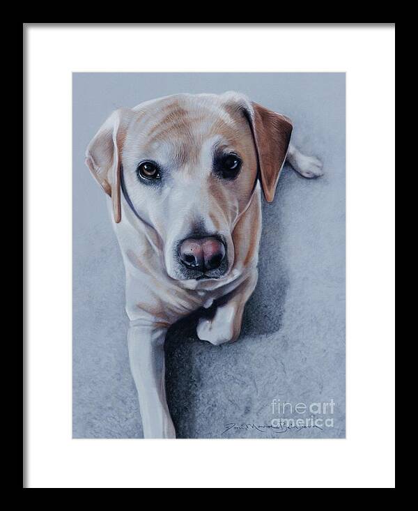 Dog Framed Print featuring the pastel Mia by Joni Beinborn