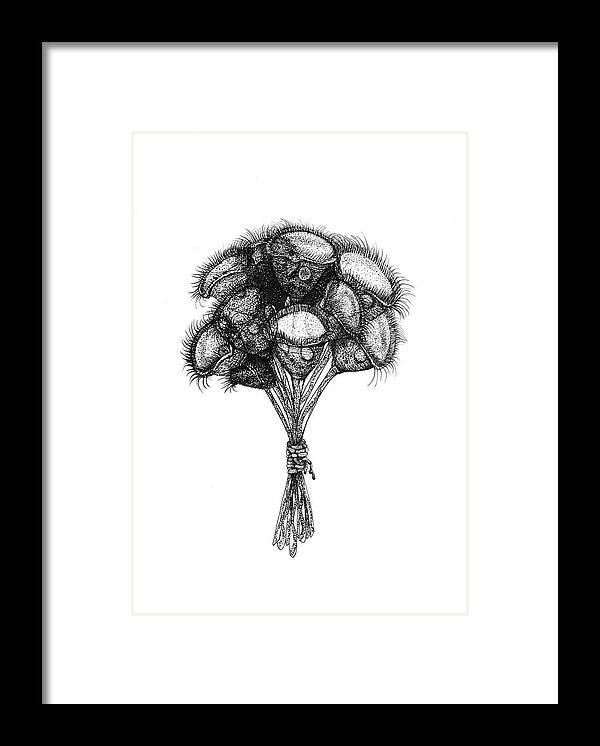 Protozoa Framed Print featuring the drawing Microscopic Bouquet by Kate Solbakk