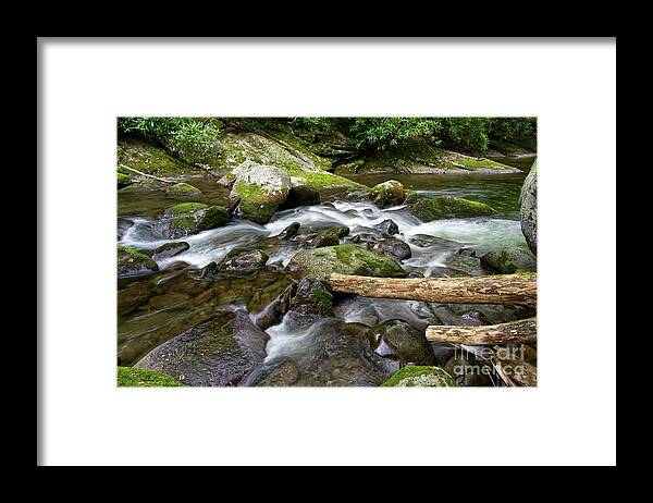 Middle Prong Little River Framed Print featuring the photograph Middle Prong Little River 39 by Phil Perkins