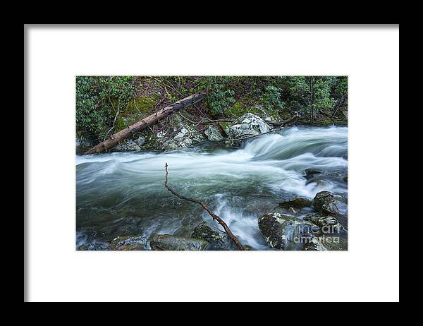 Middle Prong Little River Framed Print featuring the photograph Middle Prong Little River 51 by Phil Perkins