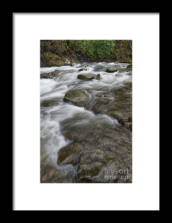 Middle Prong Little River Framed Print featuring the photograph Middle Prong Little River 54 by Phil Perkins