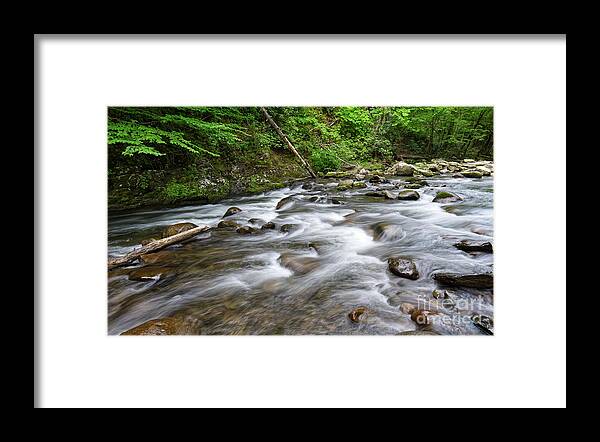 Middle Prong Little River Framed Print featuring the photograph Middle Prong Little River 60 by Phil Perkins