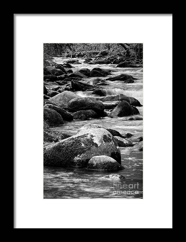 Middle Prong Trail Framed Print featuring the photograph Middle Prong Little River 7 by Phil Perkins