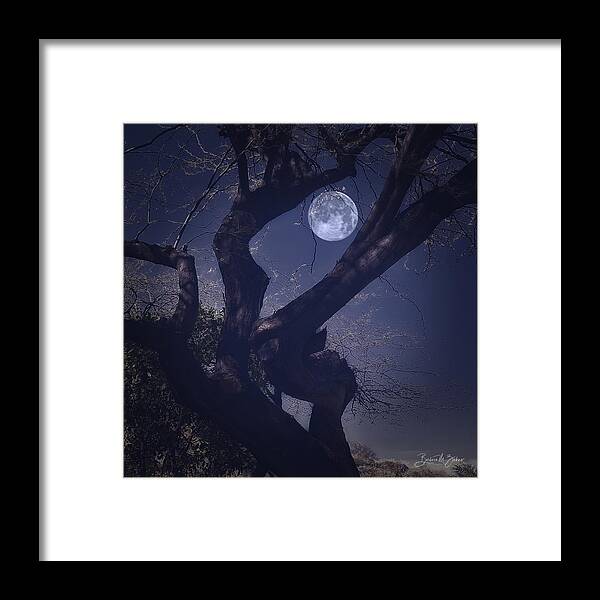 Midnight Framed Print featuring the photograph Midnight in the Desert by Barbara Zahno