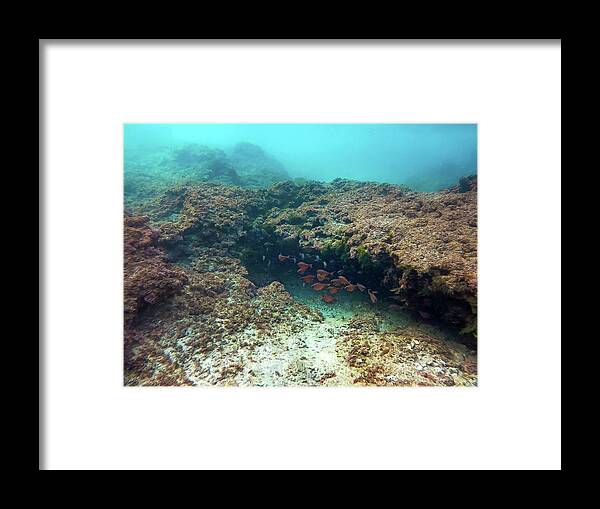 Dream Framed Print featuring the photograph Mikhmoret Reef by Meir Ezrachi