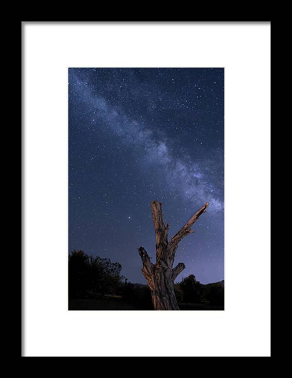 Milky Way Framed Print featuring the photograph Milky Way Over the Desert 2 by Lisa Chorny