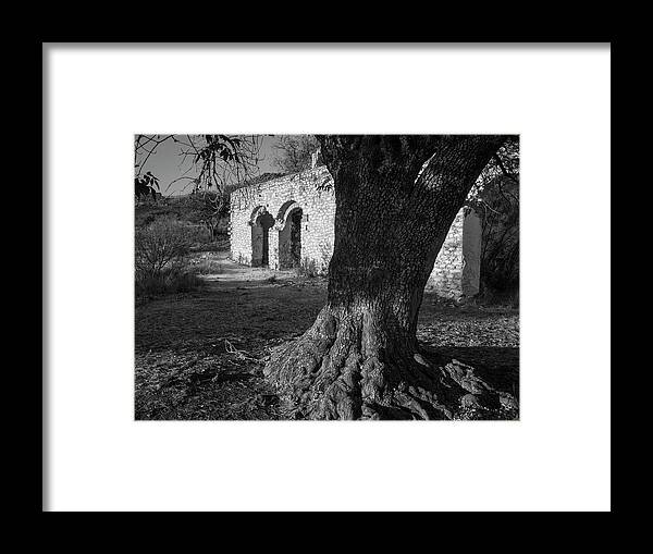 Abandoned Framed Print featuring the photograph Mina Cinca Senores or Tree at Abandoned Mexican Silver Mine by Mary Lee Dereske