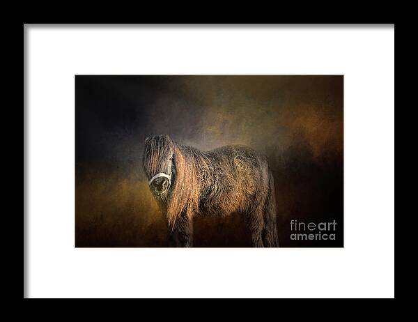 Shetland Pony Framed Print featuring the photograph Mini Shetland Pony Four by Elisabeth Lucas