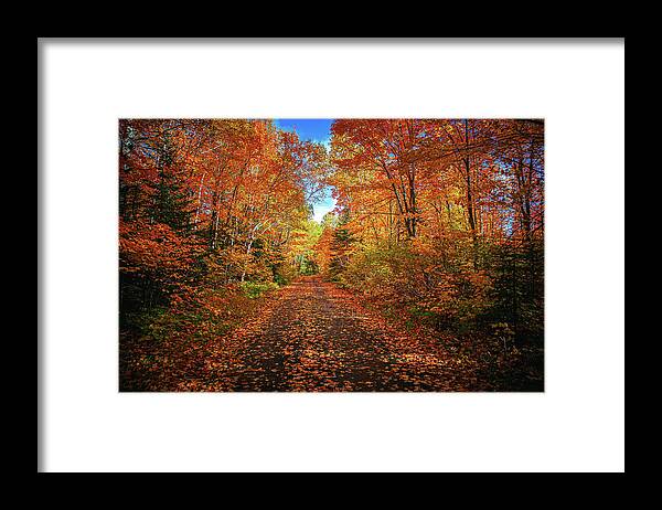 Minnesota Framed Print featuring the photograph Minnesota North Shore Backroad in Autumn by Adam Mateo Fierro