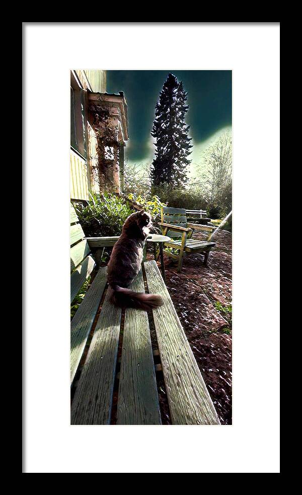 Cat Framed Print featuring the digital art Minou by Elaine Berger