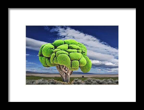 Tree Framed Print featuring the photograph Miracle Tree by Harry Spitz