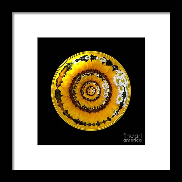 Sunflowers Framed Print featuring the photograph Mirrored Sunflower under glass 1 by Rose Santuci-Sofranko