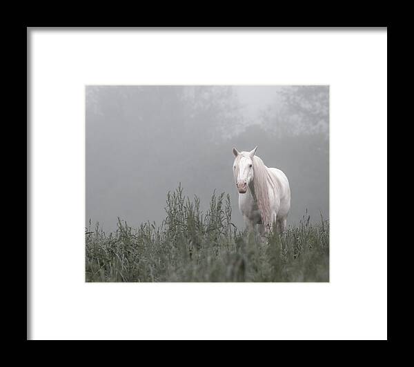 Missouri Framed Print featuring the photograph Missing Shawnee by Holly Ross