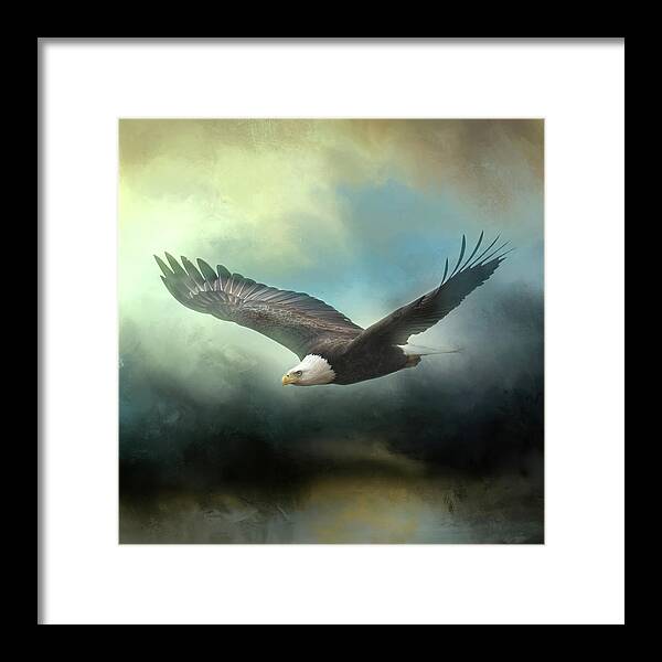 Bald Eagle Framed Print featuring the photograph Mission Accomplished by Jai Johnson
