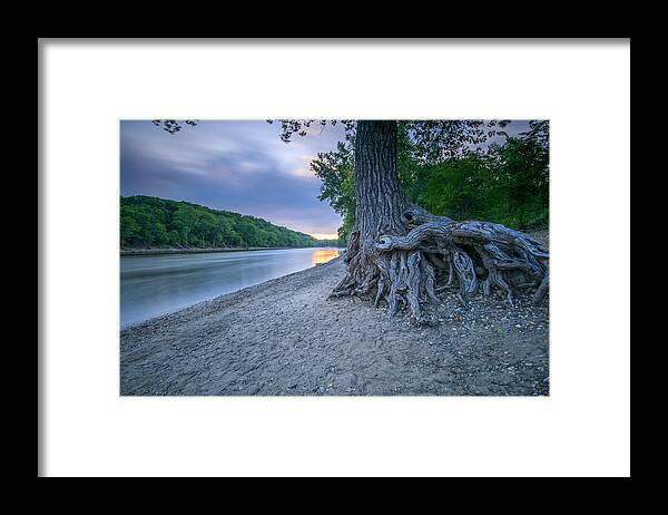 Outdoors Framed Print featuring the photograph Mississippi Tree Root by Ryan W Brown