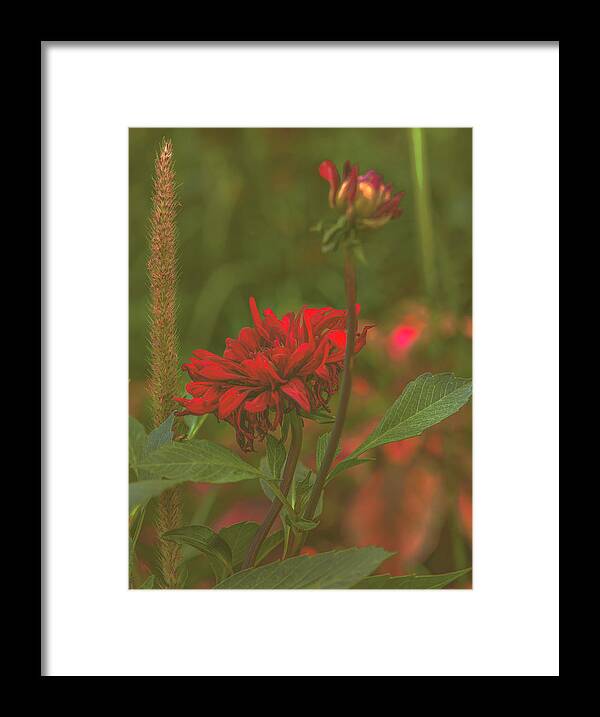 Misty Memories Framed Print featuring the photograph Misty memories #j0 by Leif Sohlman