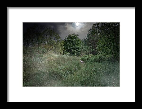 Misty Framed Print featuring the photograph Misty River In The Latvian Countryside by Aleksandrs Drozdovs