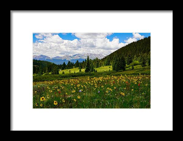 Jeremy Rhoades Framed Print featuring the photograph Mixed Flowers by Jeremy Rhoades