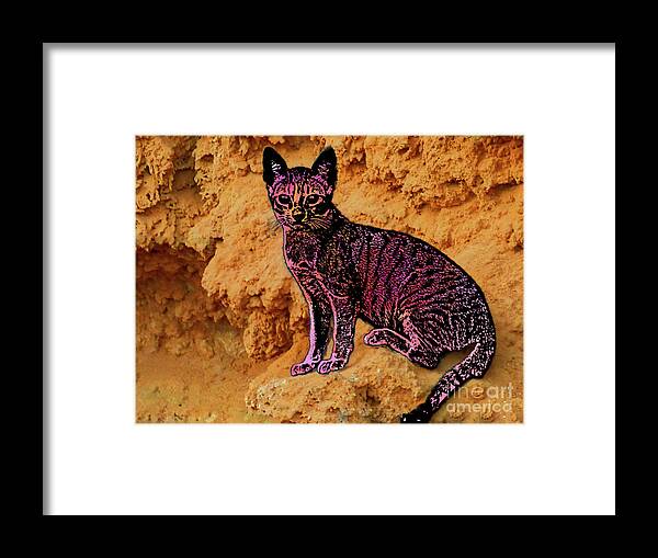 Digital Art Framed Print featuring the photograph Modified cat by Pics By Tony