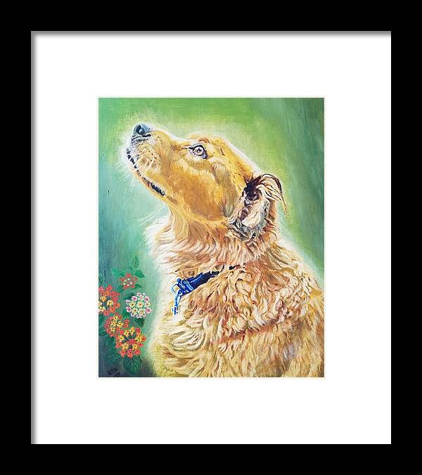 Oil Painting. Dog Framed Print featuring the painting Molly by Vera Smith