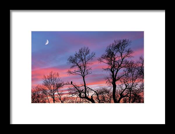 Moon Framed Print featuring the photograph Moment of Solitude by Darren White