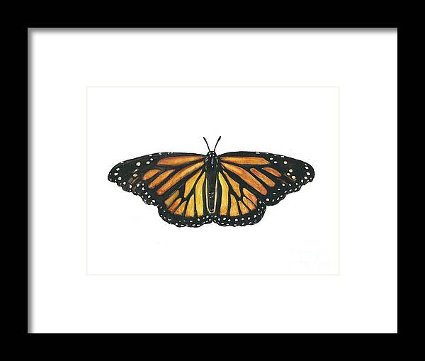 Monarch Framed Print featuring the painting Monarch Butterfly by Pamela Schwartz