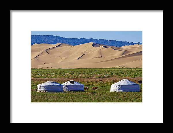 Horse Framed Print featuring the photograph Mongolia, Gobi desert, Khongoryn Els dunes by Tuul & Bruno Morandi