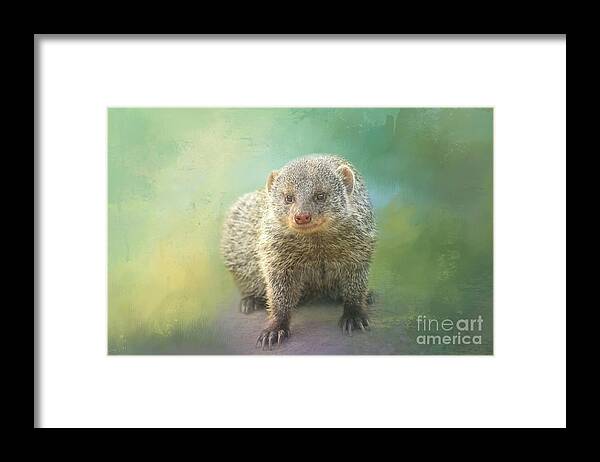 Mongoose Framed Print featuring the mixed media Mongoose 02 by Elisabeth Lucas