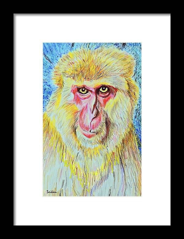 Animal Framed Print featuring the drawing Monkey King by Taikan Nishimoto
